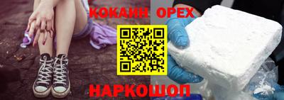 гашик Будённовск
