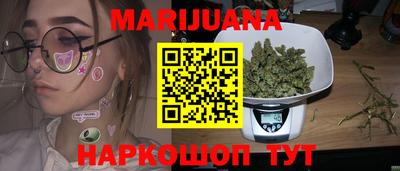 гашик Будённовск