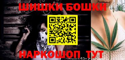 гашик Будённовск