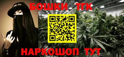 гашик Будённовск