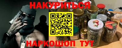 гашик Будённовск