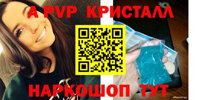 гашик Будённовск