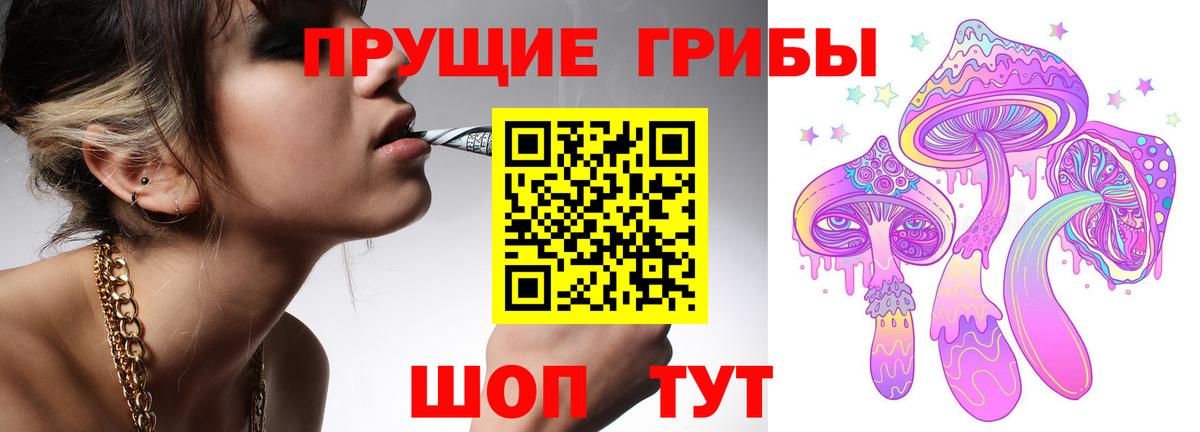 Галлюциногенные грибы Psilocybe Куйбышев